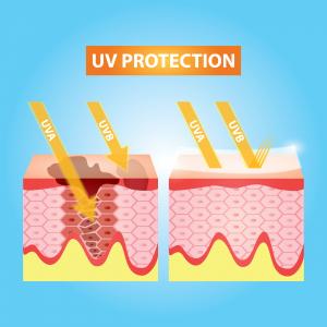 UV rays' effect to the skin